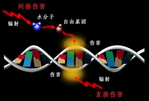 资料:辐射伤害知多少